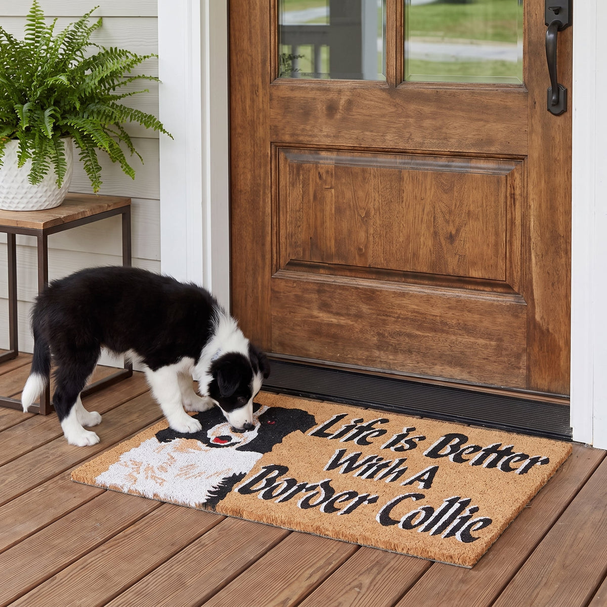 Border Collie Dog Natural Coir Door Mat 45 x 75cm Outdoor Non-Slip Dirt Trapper Entryway Front Door Welcome Mat