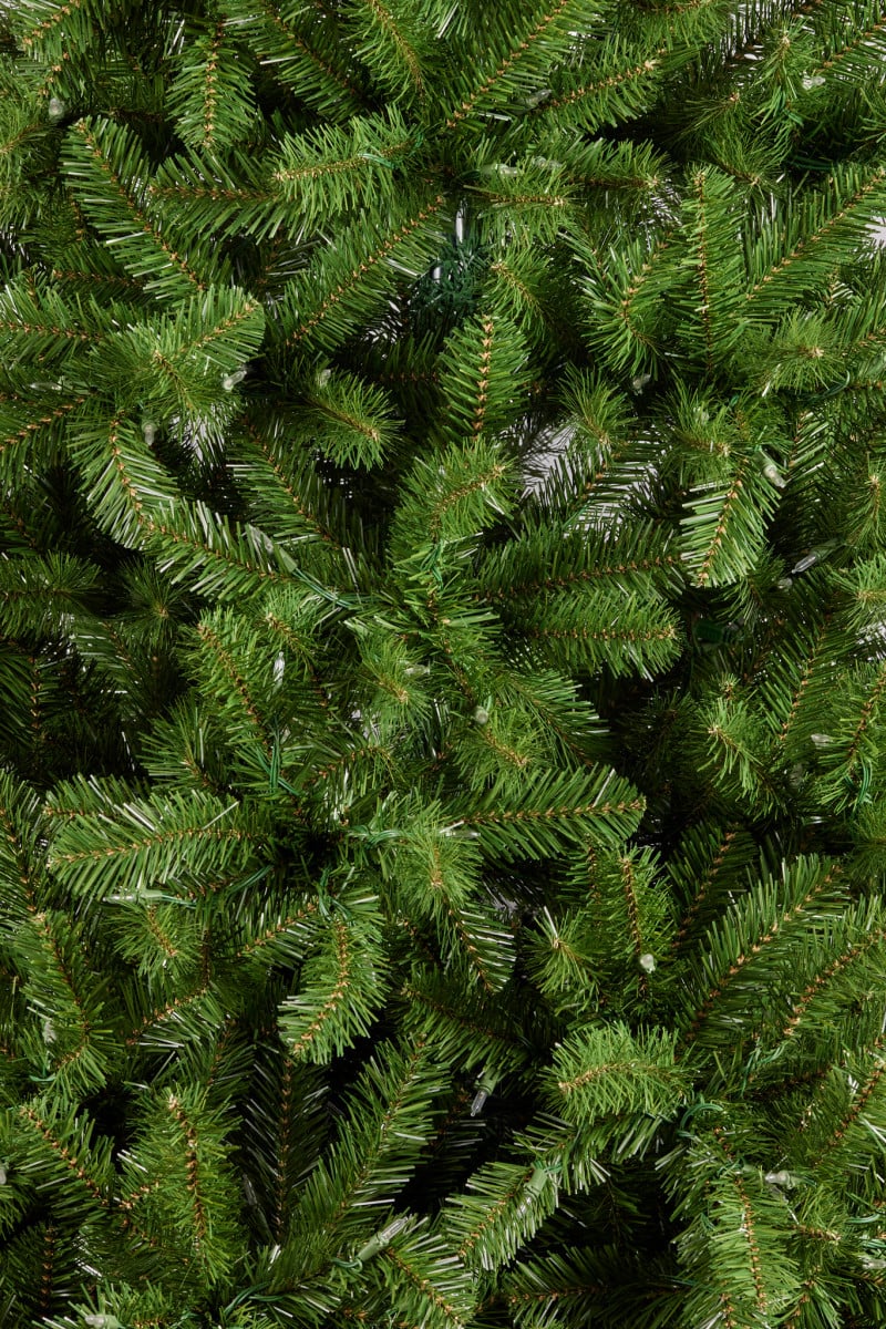 Christabelle 7.5ft Christmas Tree with Lights - Evergreen