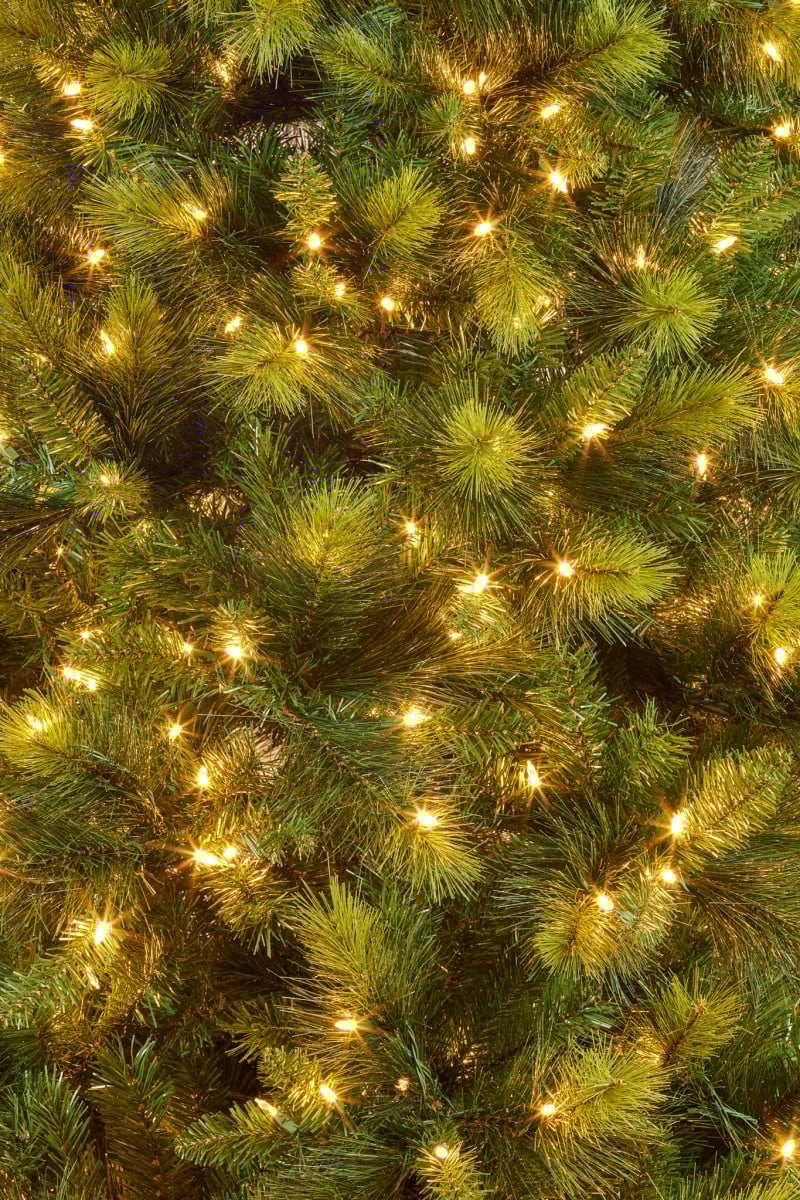 Christabelle 7.5ft Christmas Tree with Lights - Eastern Pine