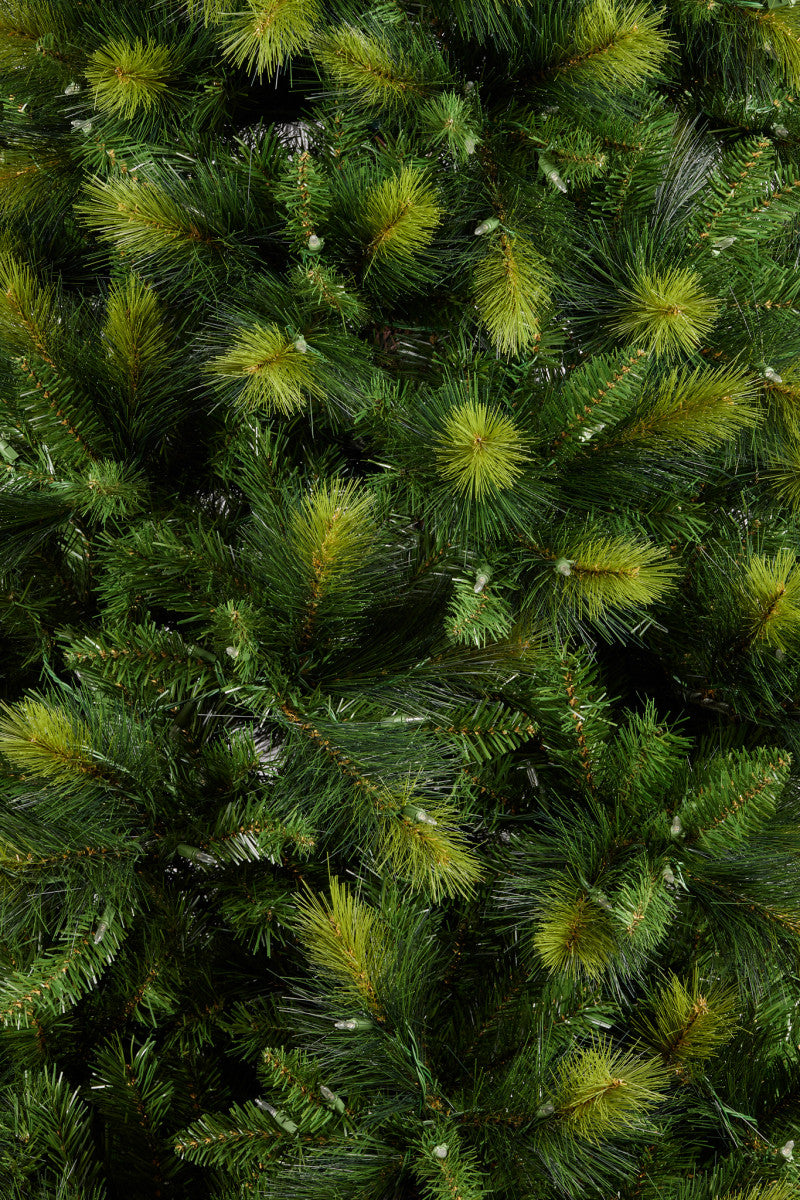 Christabelle 7.5ft Christmas Tree with Lights - Eastern Pine
