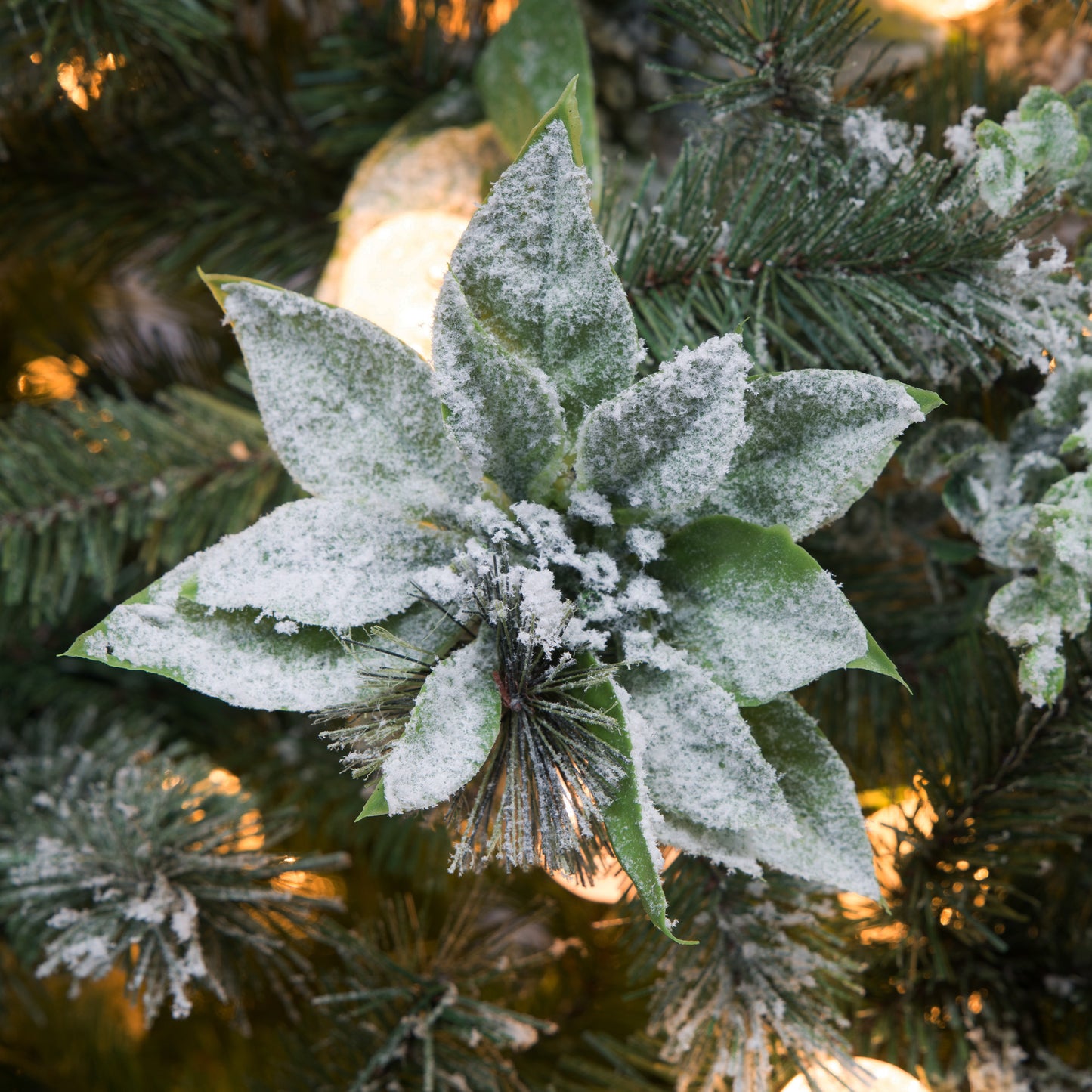 Christabelle Snowy Crown Pine 3.6m Multicolour Pre-Lit Christmas Tree with 5340 Tips