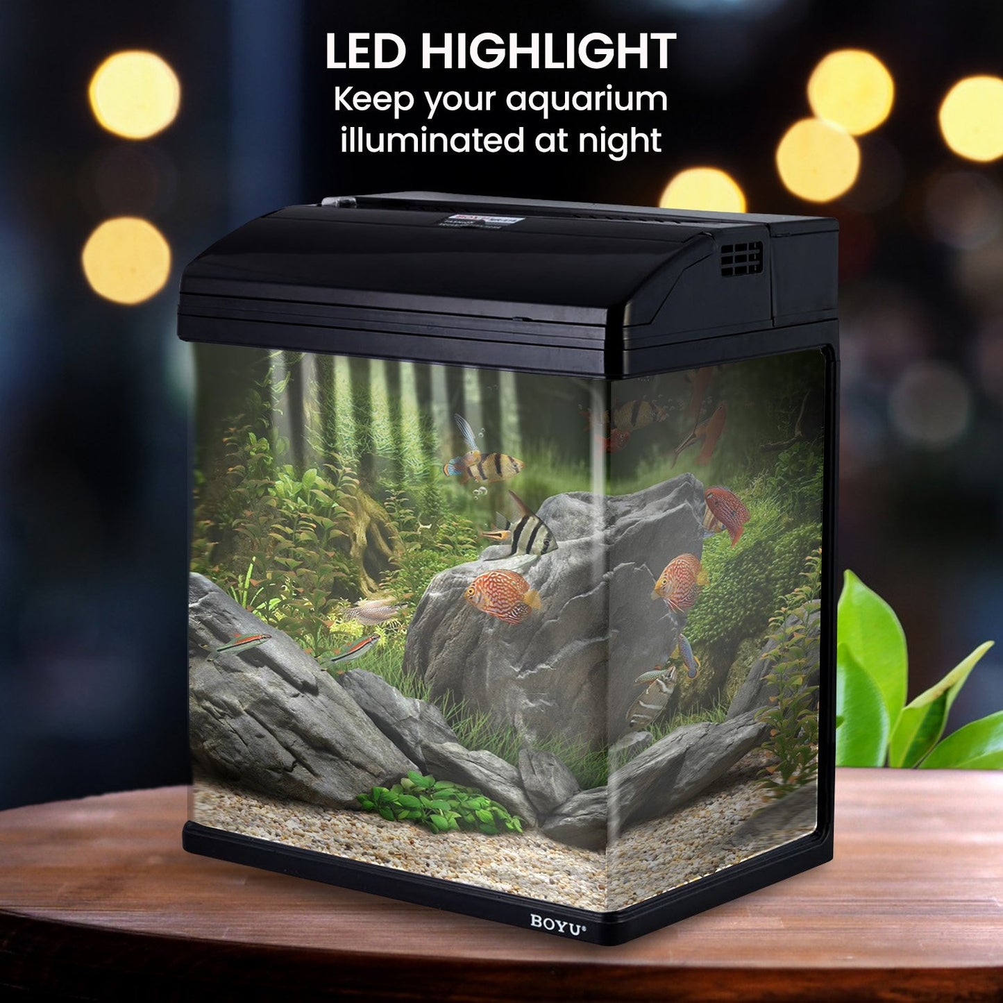 37L Aquarium With Bio Filter System LED Kit Curved Design Complete Kit