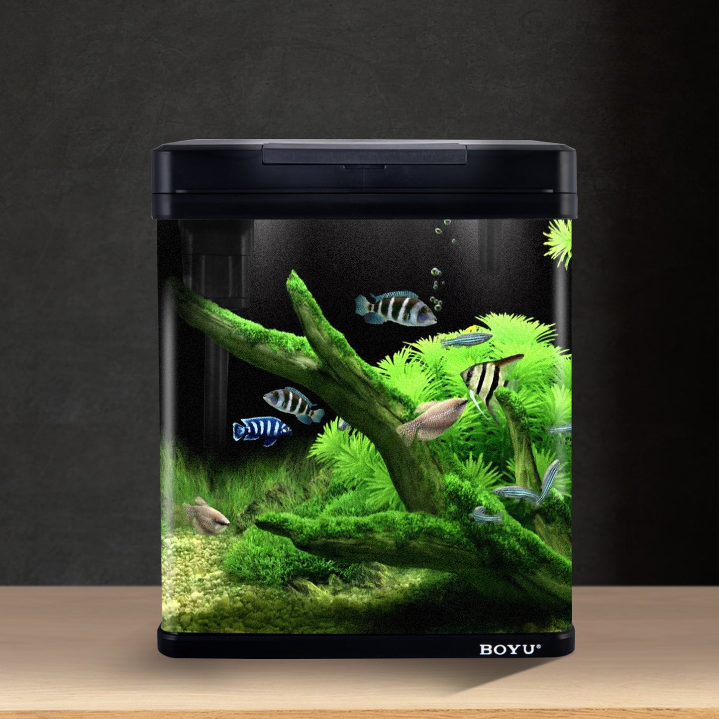 34L Complete Aquarium Kit With Bio Filter System LED Kit Curved Design