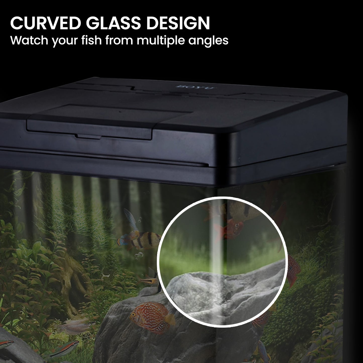 34L Complete Aquarium Kit With Bio Filter System LED Kit Curved Design