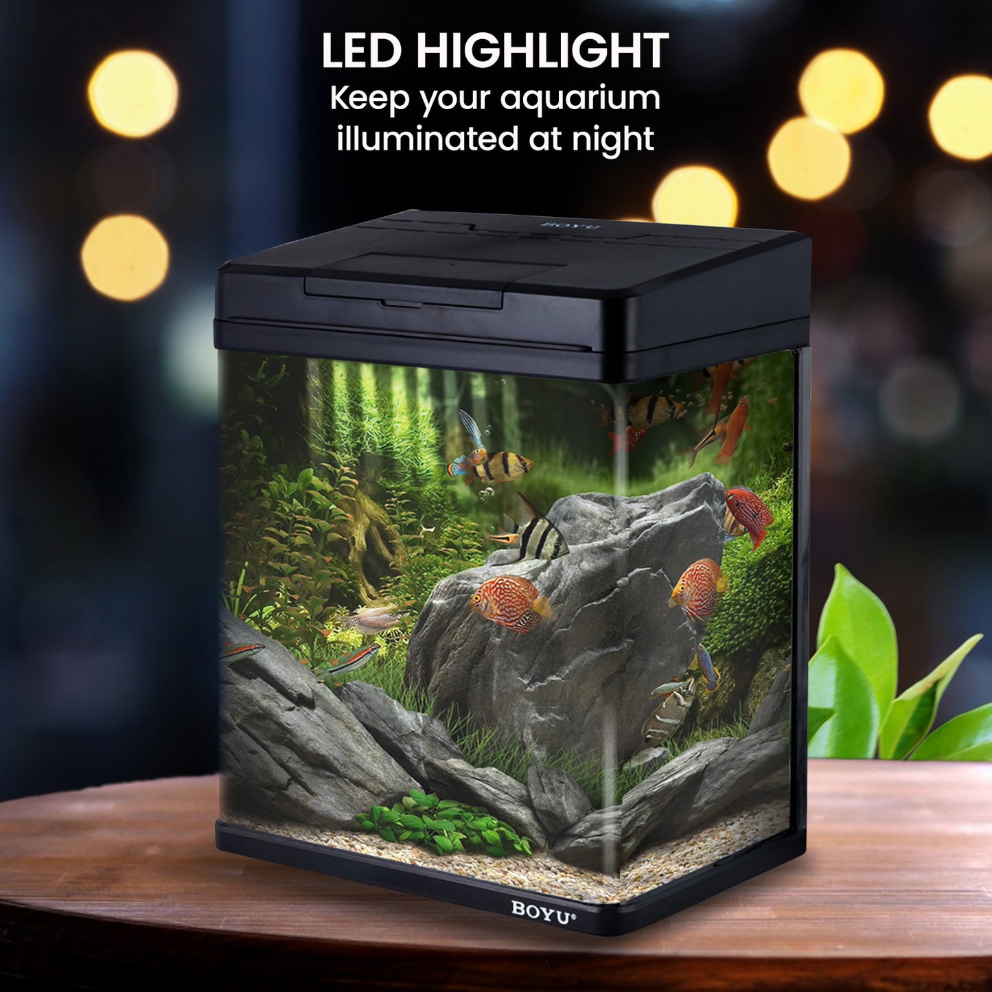 34L Complete Aquarium Kit With Bio Filter System LED Kit Curved Design