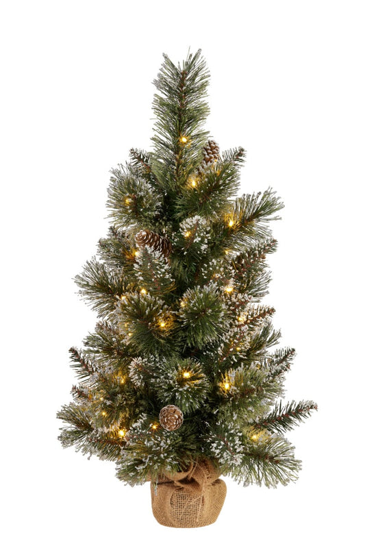 Christabelle 2ft Christmas Tree with LED Lights - Potted Cashmere