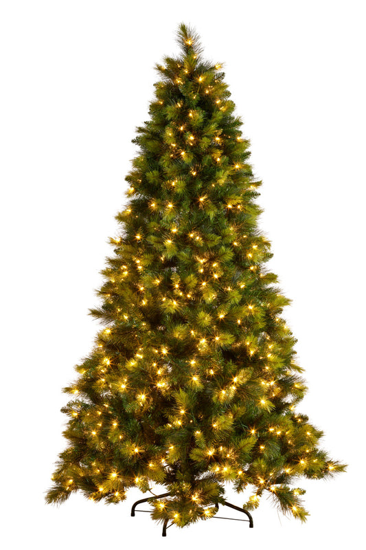 Christabelle 7.5ft Christmas Tree with Lights - Eastern Pine