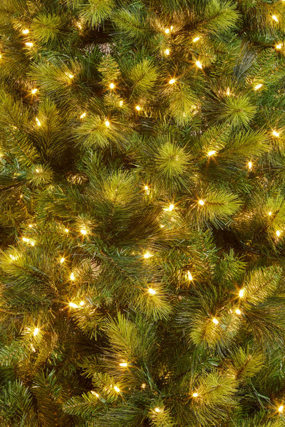 Christabelle 7.5ft Christmas Tree with Lights - Eastern Pine
