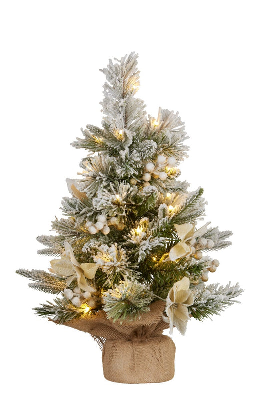 Christabelle 2ft Christmas Tree with Lights - Potted Frosted Colonial