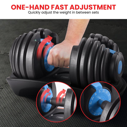 48KG Powertrain Adjustable Dumbbell Set With Stand Blue