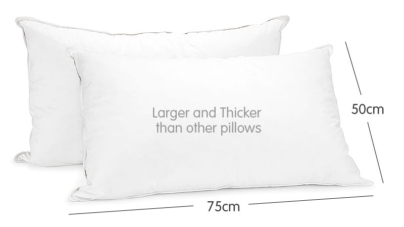 Duck Down Feather Pillow Twin Set - 1.3kg