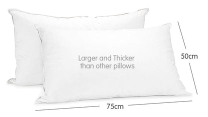 Duck Down Feather Pillow Twin Set - 1.3kg